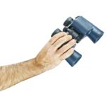 Binocular Bushnell 134218R H2O 8x 42mm Porro Blue - Image 9