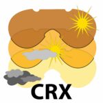 Gafas Salice 838CRX Black+Kitoptik CRX Clear Cat 0-2 - Image 4