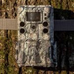 Camara Bushnell 119949M 30MP Core S-4K Treebark - Image 5
