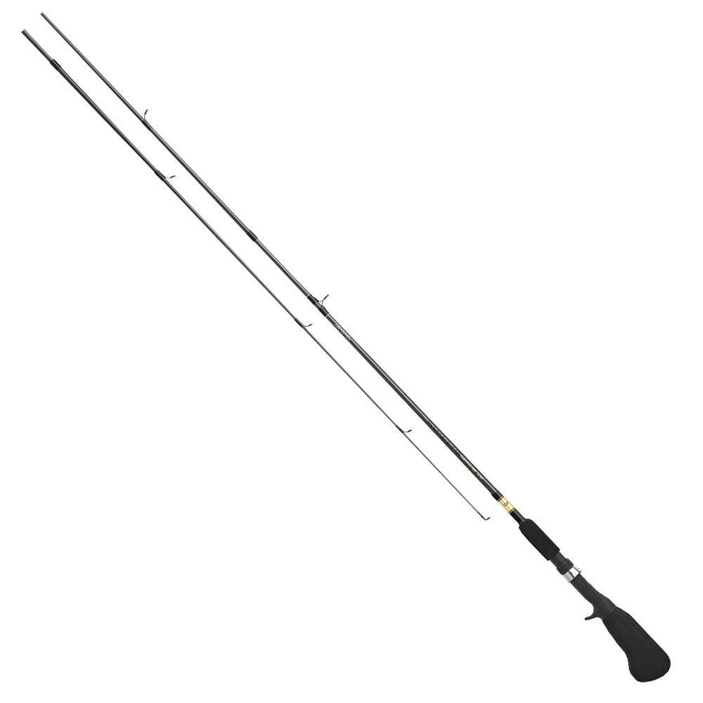 Cana-D139.jpg Caña Daiwa SWD602MFP Sweepfire - Image 1